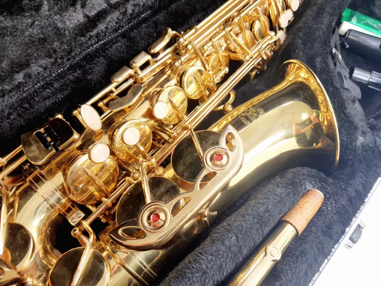 SAKSOFON ALTOWY J.MICHAEL AL-500 CASE