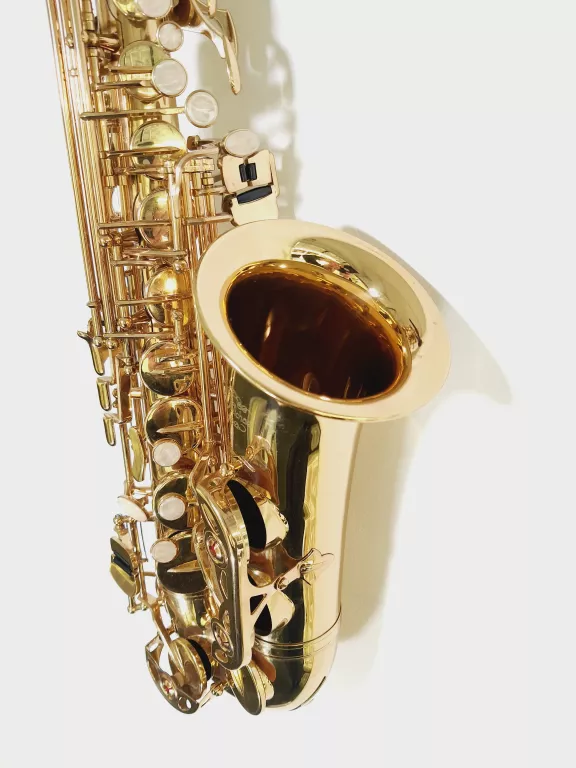 SAKSOFON ALTOWY J.MICHAEL AL-500 CASE