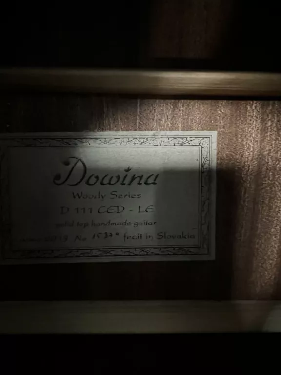 GITARA DOWINA D111CED-LE + FUTERAŁ