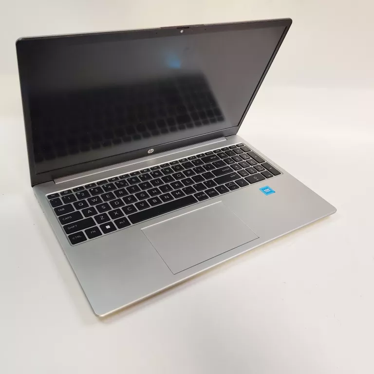 LAPTOP HP 250 G10 INTEL N100/8GB/WIN11HOME