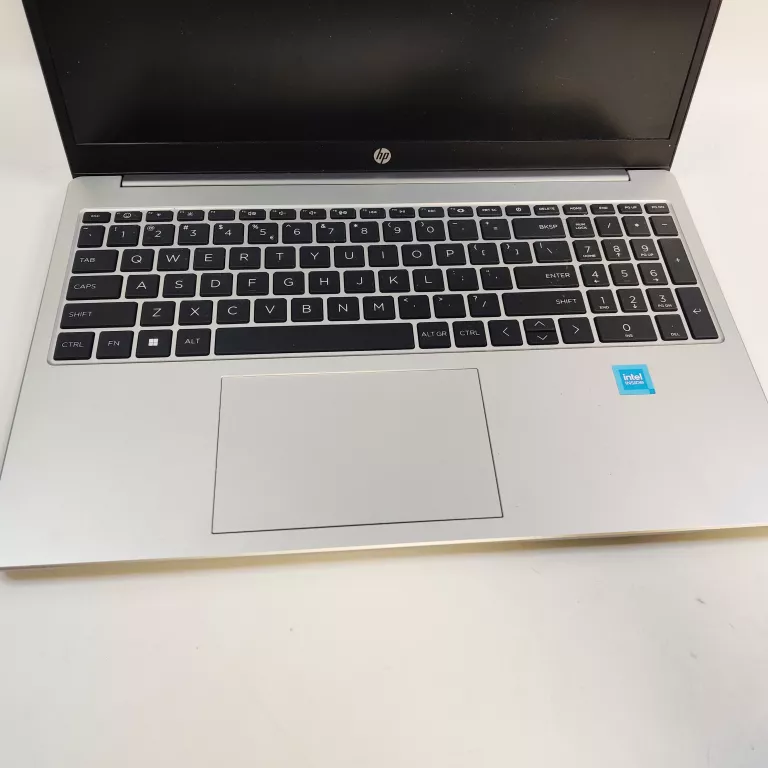 LAPTOP HP 250 G10 INTEL N100/8GB/WIN11HOME