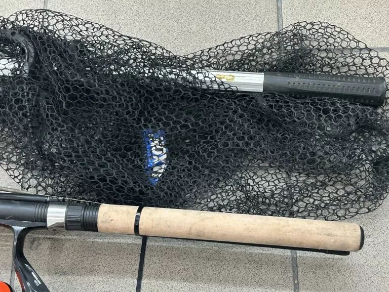WĘDKA MIRACLE FISH 330 + KOŁOWROTEK DREAD CAT 8000 + PODBIERAK JAXON