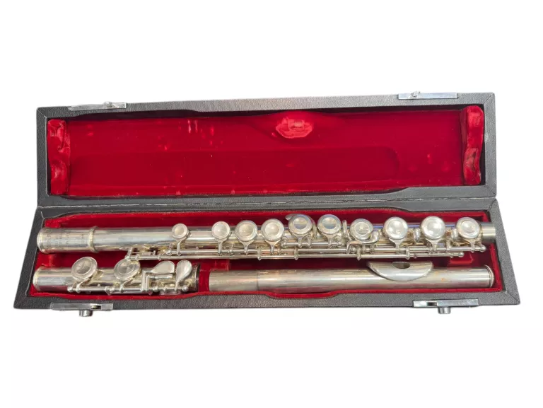 FLET POPRZECZNY PEARLY MODEL PF501