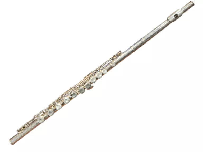 FLET POPRZECZNY PEARLY MODEL PF501