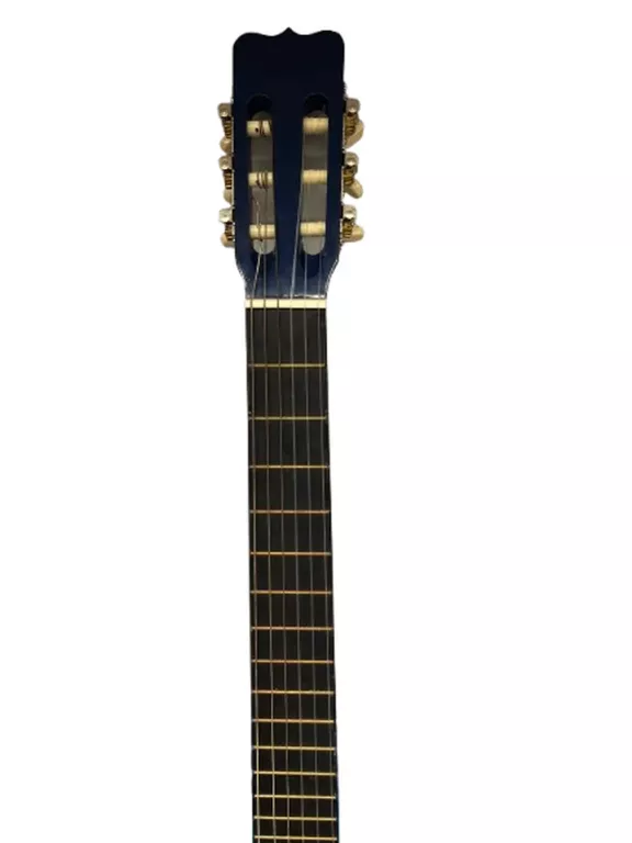GITARA KLASYCZNA SKYWAY AC 39/BLS