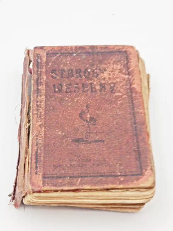 STAROSTA WESELNY - JÓZEF GALLUS 1907