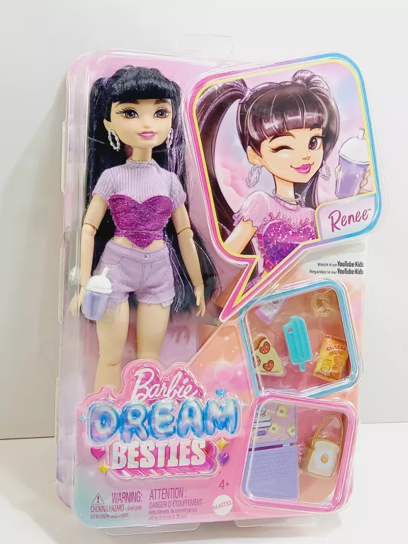 LALKA BARBIE DREAM BESTIES LALKA RENEE HYC24