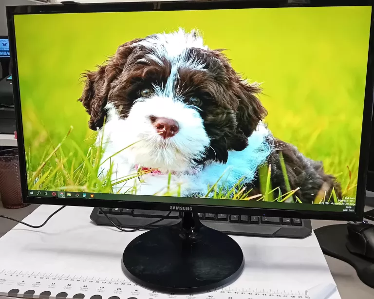 MONITOR 24" SAMSUNG LS24F350FHUXEN