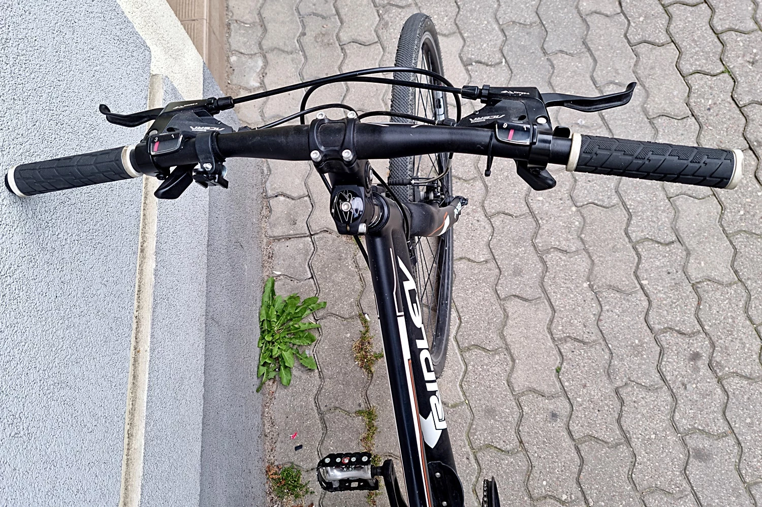 rower-crossowy-ridley-tempo-x-men-ean-gtin-0025852364124