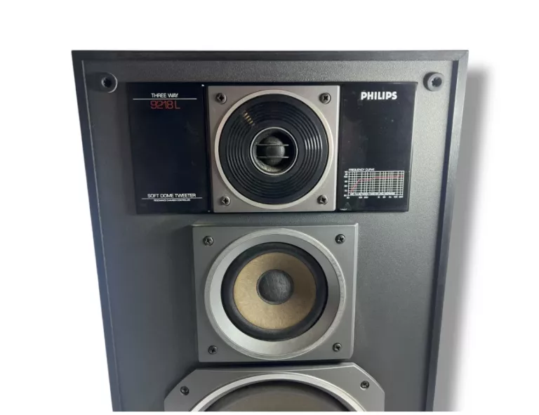 GŁOŚNIK PHILIPS 50W
