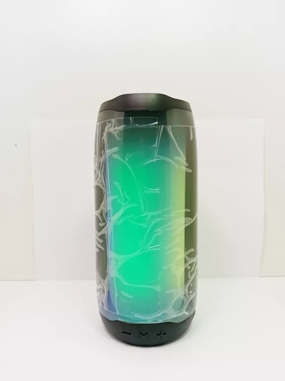 GŁOŚNIK PULSE 4