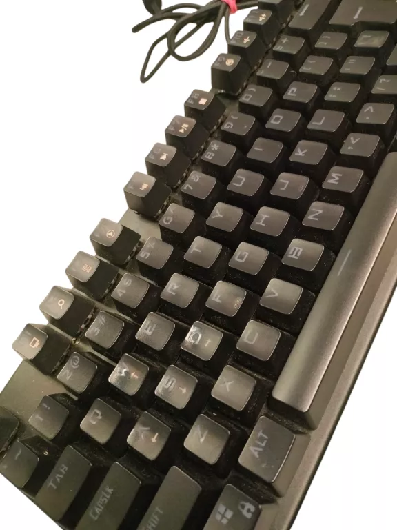 klawiatura-genesis-thor-300-tkl-interfejs-1247-1