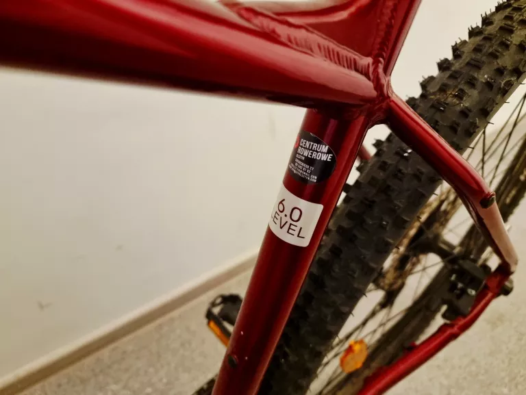 ROWER GÓRSKI MTB KROSS LEVEL 6.0 M20 29 CALI MĘSKI RUBINOWO-SREBRNY