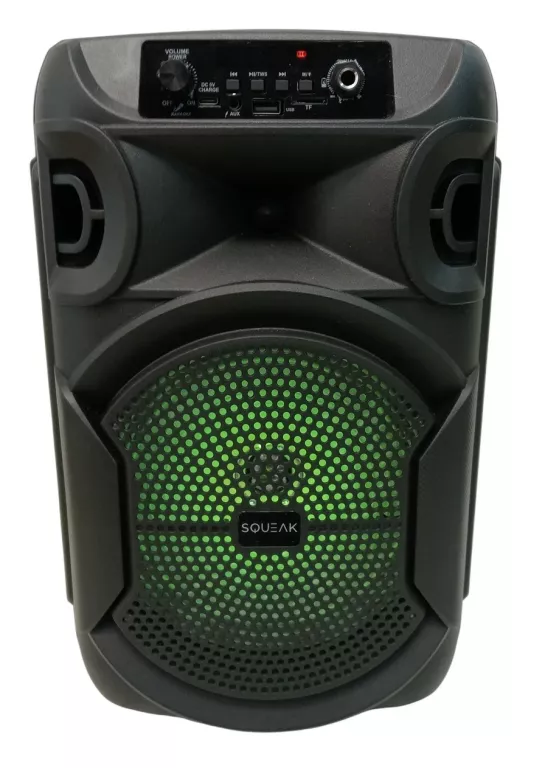 SQUEAK PULSETOWER SQ1006 GŁOŚNIK BT EDR RADIO FM 35W