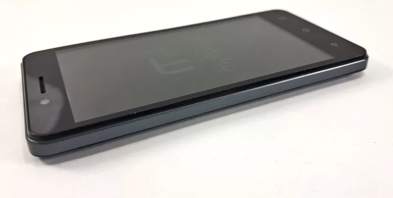 TELEFON MYPHONE L-LINE 1GB / 8GB SZARY