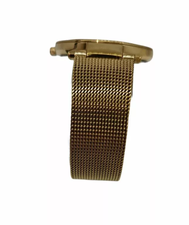 ZEGAREK DAMSKI MICHAEL KORS MK3368