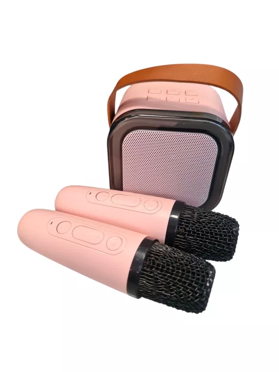 doodoo-mini-zestaw-do-karaoke-2-szt-mikrofonow-glosnik-stan-11323-2