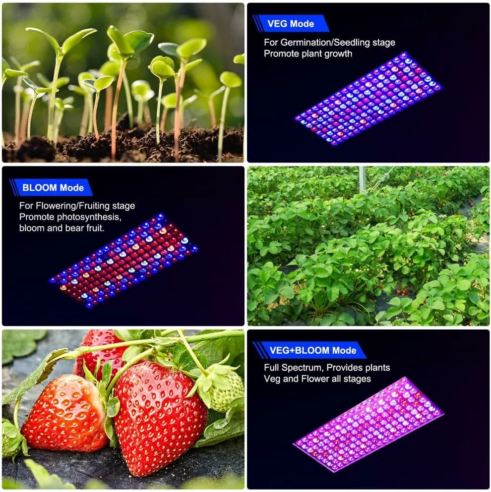 lampa-do-uprawy-roslin-dragonlight-led-grow-light-bw2000-90w-stan-11323-1