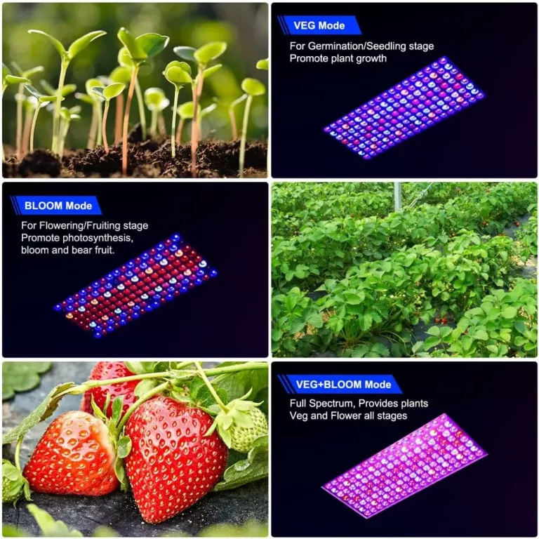 LAMPA DO UPRAWY ROŚLIN DRAGONLIGHT LED GROW LIGHT BW2000 90W