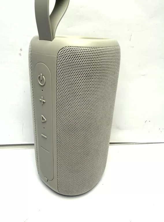 GŁOŚNIK FRESH N  REBEL 1ARB800IG