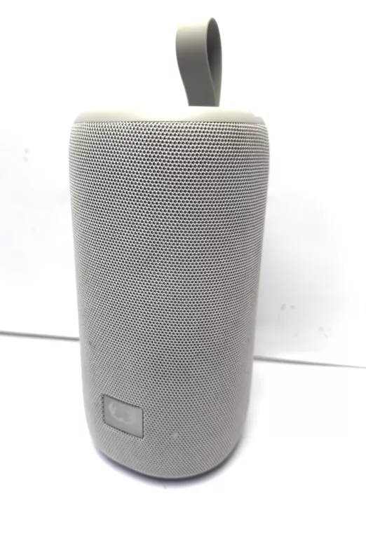 GŁOŚNIK FRESH N  REBEL 1ARB800IG