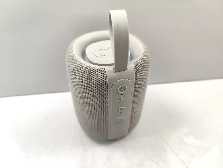 GŁOŚNIK FRESHNREBEL 1ARB400IG