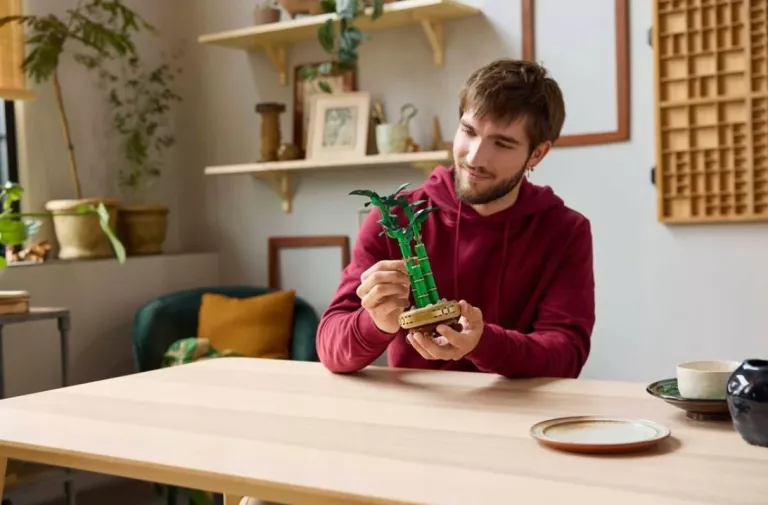 KLOCKI LEGO | BOTANICALS 10344 DRACENA SANDERA NA PREZENT