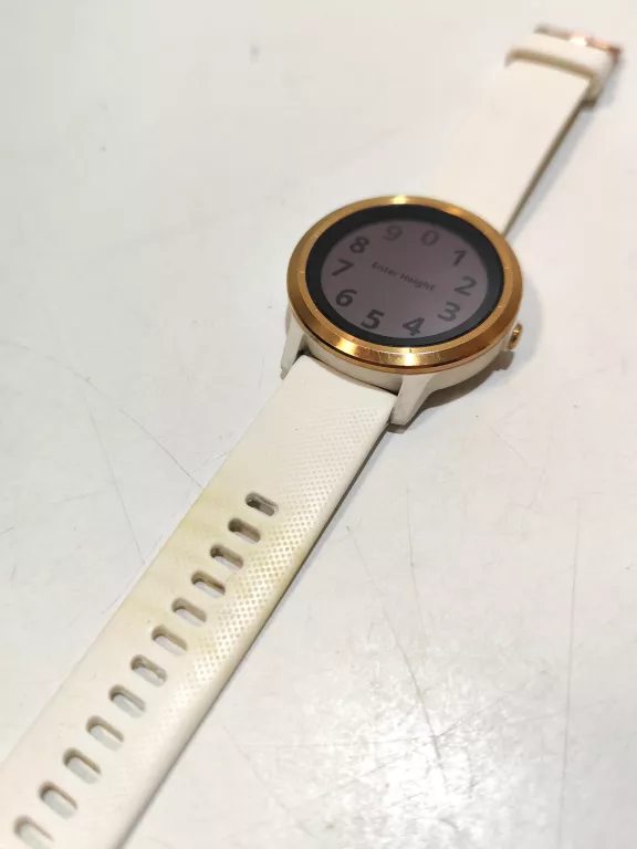 smartwatch-garmin-vivoactive-3-ean-gtin-753759212704