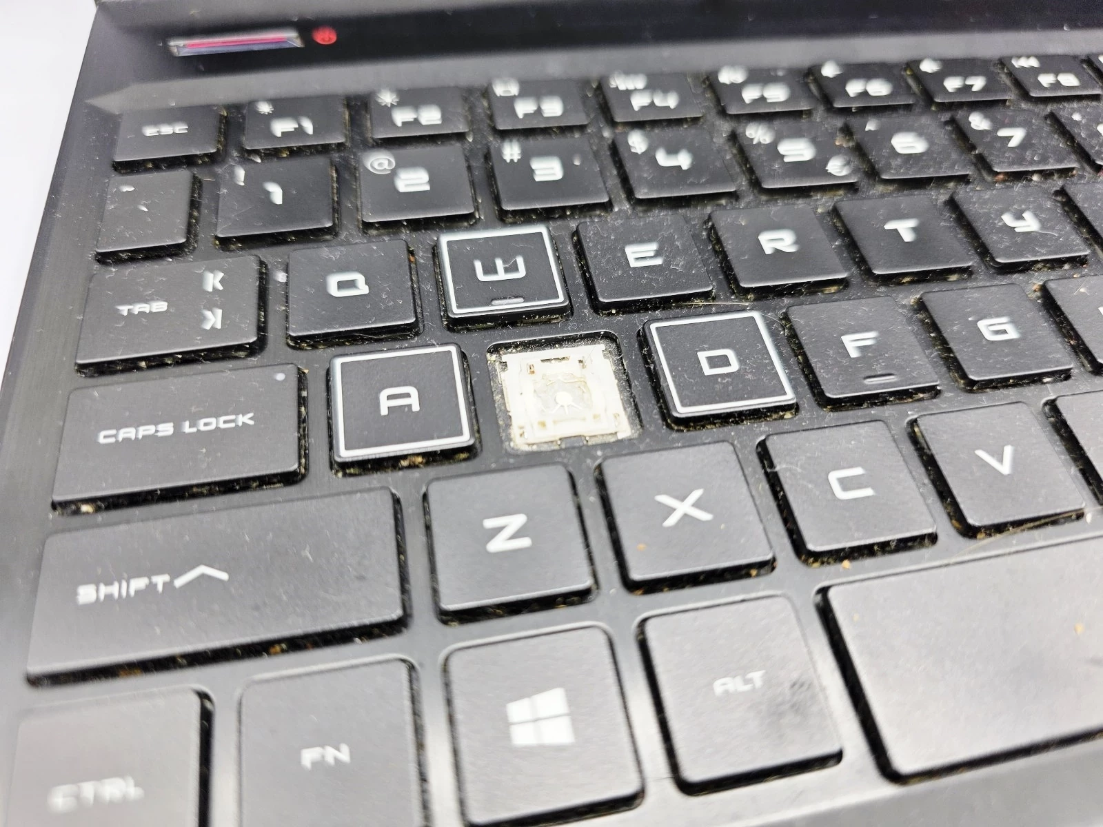 laptop-hp-omen-15-dc1065nw-at-opis-at-ean-gtin-194441630589