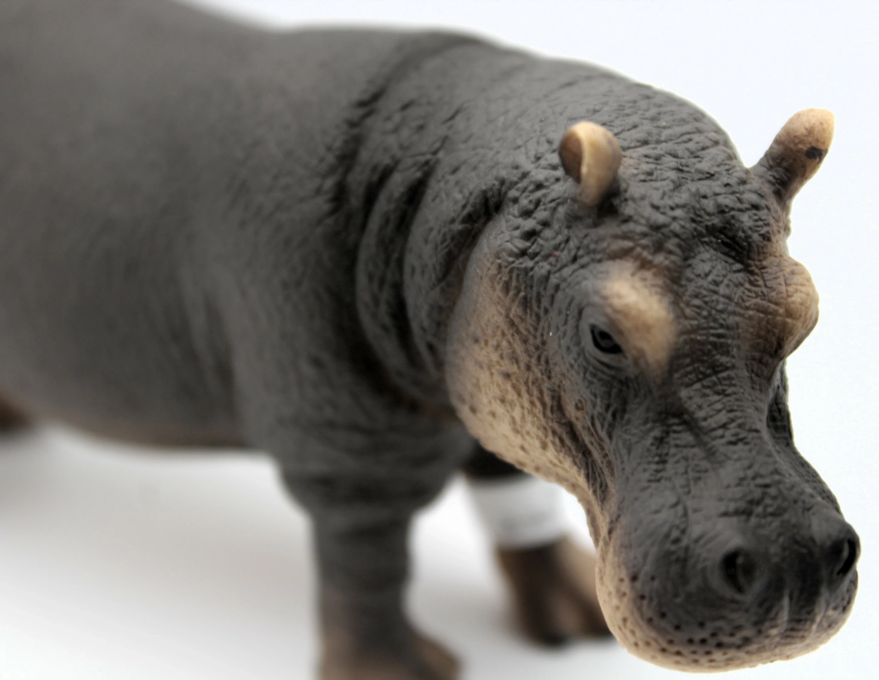 realistyczna-figurka-hipopotama-schleich-14814-skala-125-stan-11323-2