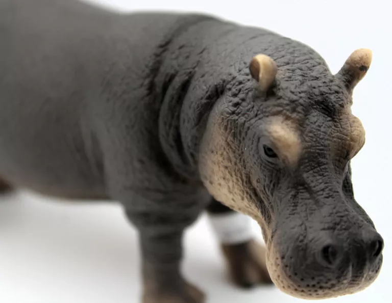 realistyczna-figurka-hipopotama-schleich-14814-skala-125-stan-11323-2