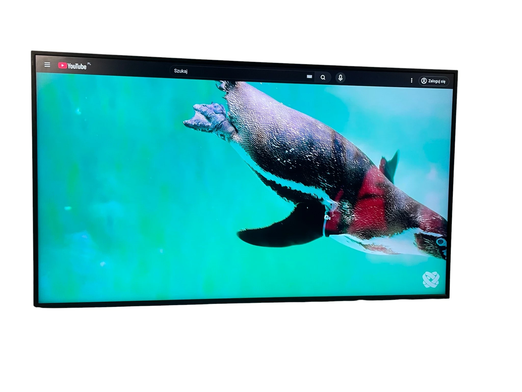 telewizor-monitor-samsung-smart-signage-qm49r-49-4k-uhd-75hz-model-qm49r