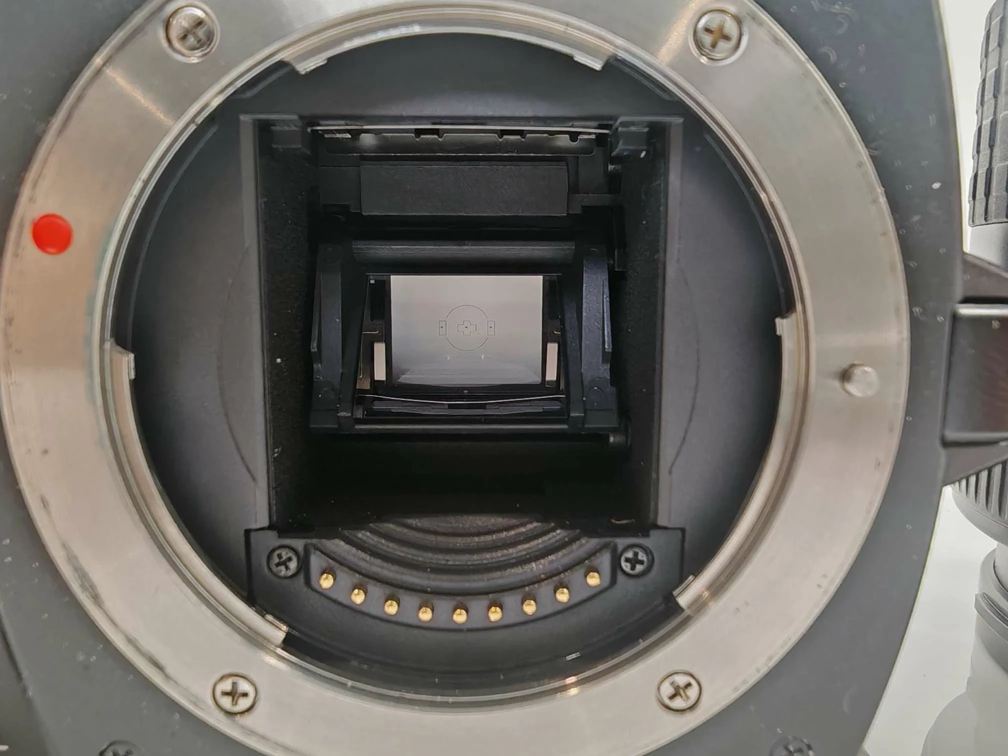 lustrzanka-cyfrowa-olympus-e-500obiektyw-olympus-digital14-45mm-wizjer-206922-228850