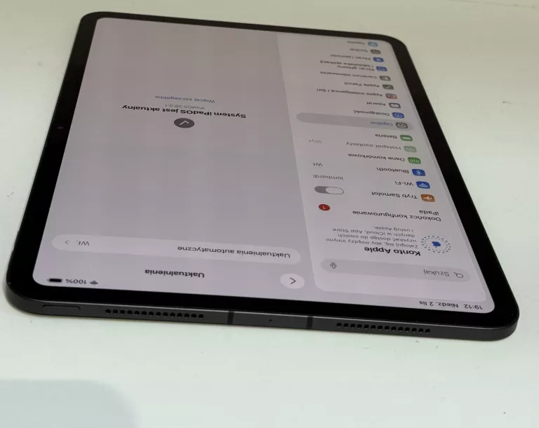 IPAD PRO 11-INCH (M4) WI-FI + CELLULAR (A2837) 256GB /PUD/EAN:195949228872