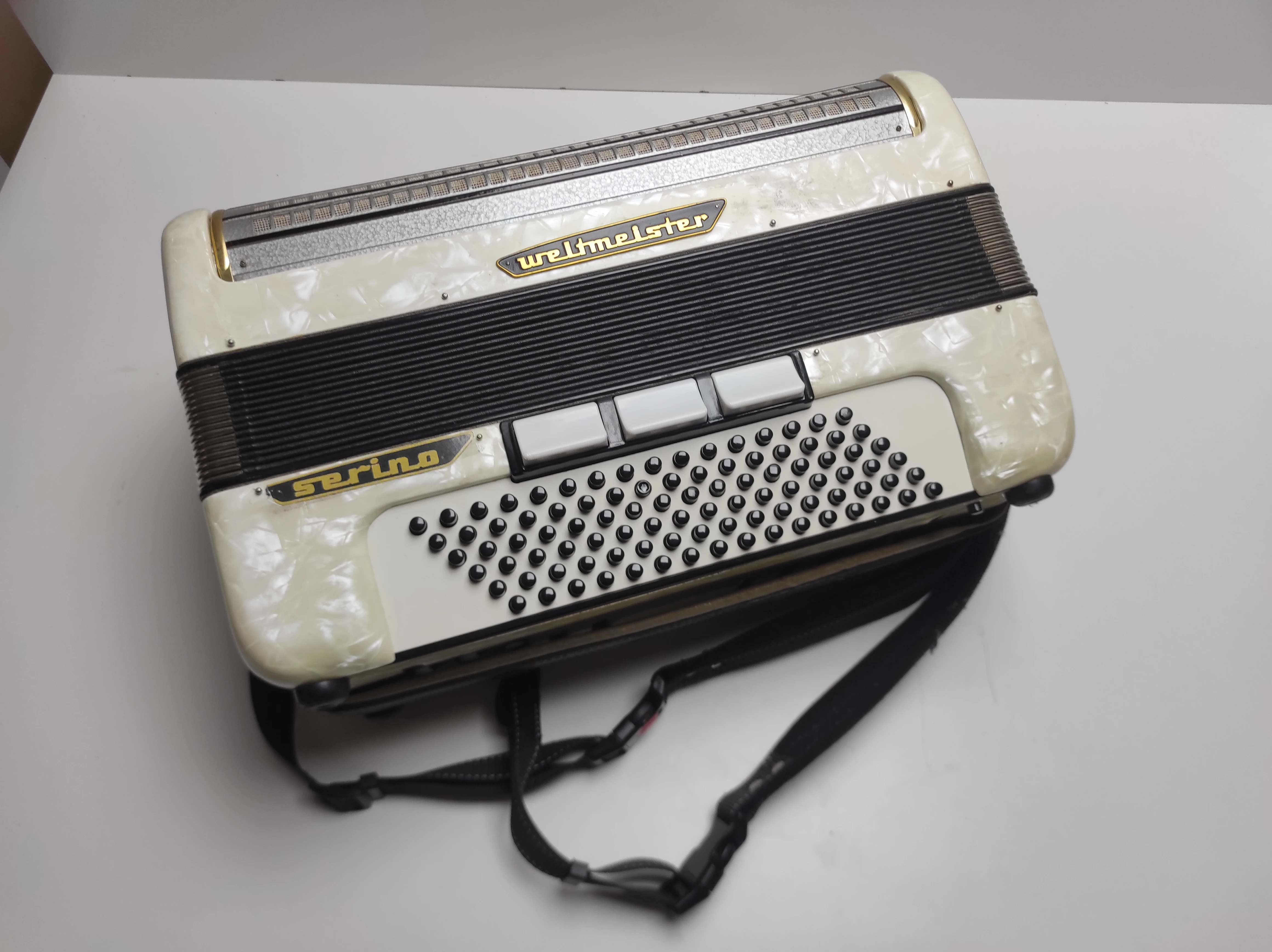 akordeon-weltmeister-serino-kod-producenta-231117002