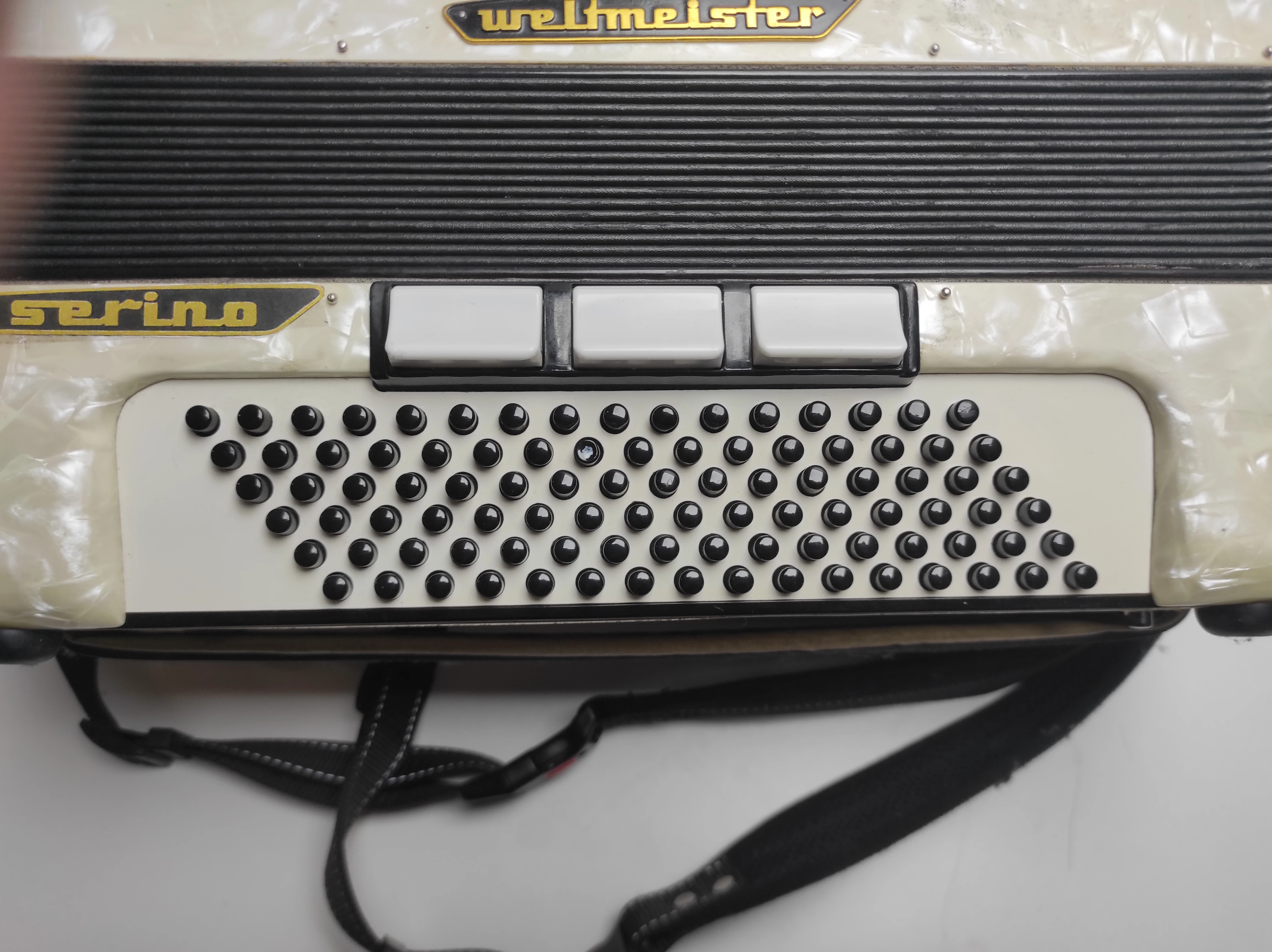 akordeon-weltmeister-serino-stan-11323-2