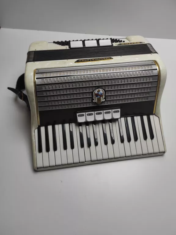 akordeon-weltmeister-serino-31-stycznia-34-chojnice