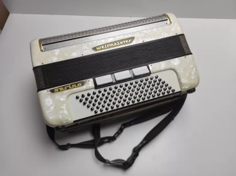 akordeon-weltmeister-serino-kod-producenta-231117002