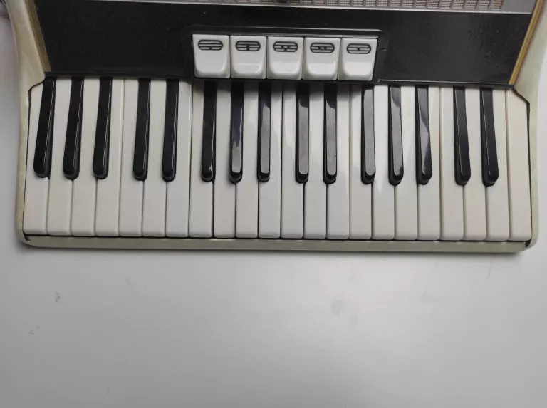 akordeon-weltmeister-serino-ean-gtin-4064341009869