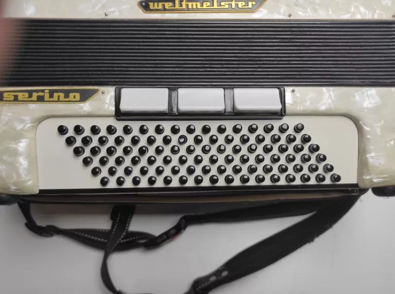 akordeon-weltmeister-serino-stan-11323-2