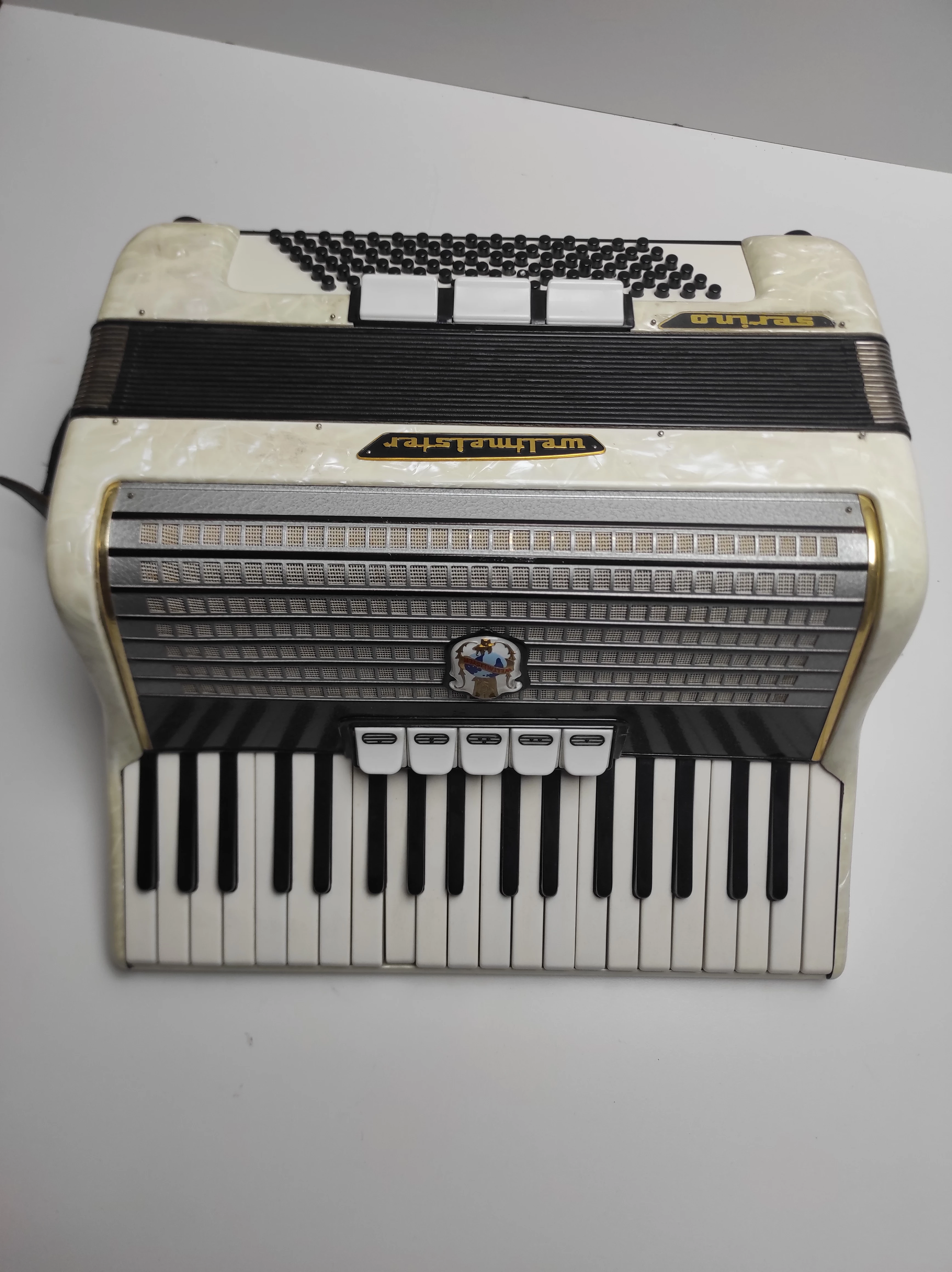 akordeon-weltmeister-serino-marka-248811-1968126