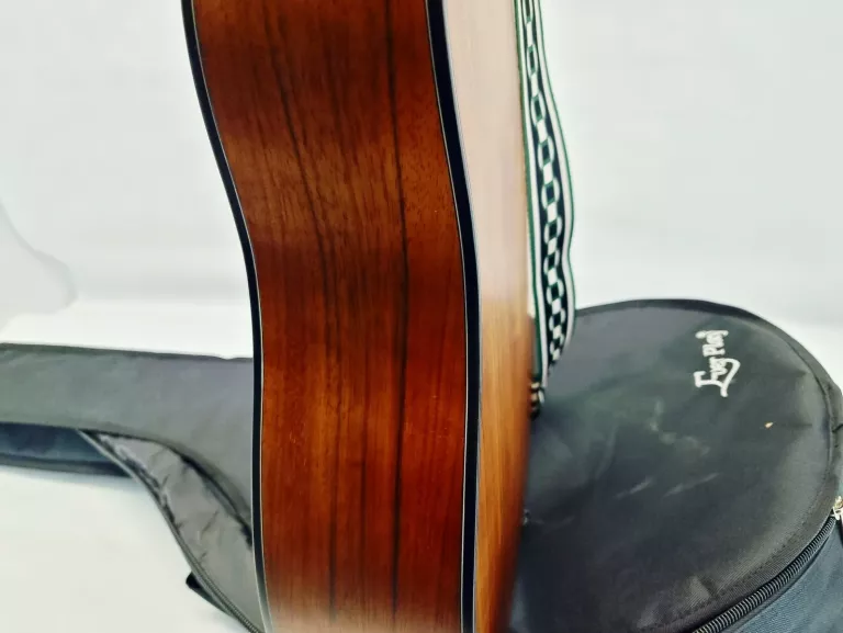 GITARA AKUSTYCZNA ARSNOVA AN-700