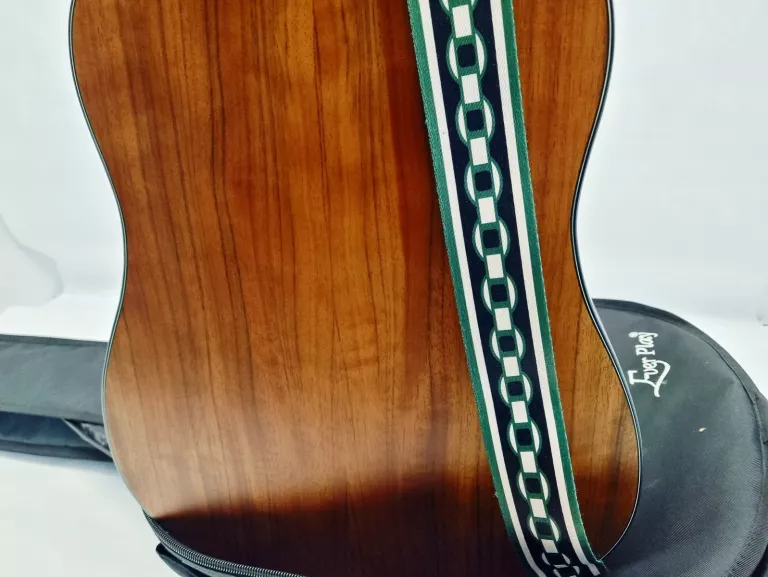 GITARA AKUSTYCZNA ARSNOVA AN-700