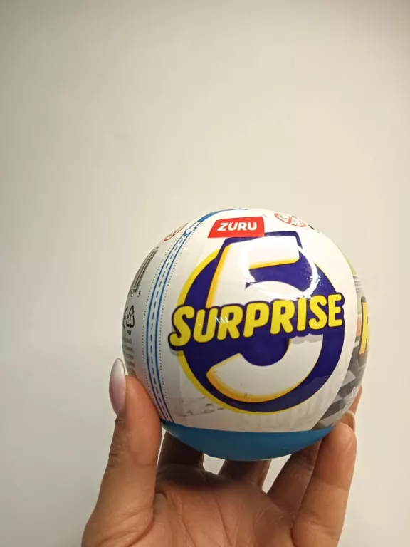 SURPRISE 5 MAKE A RACER