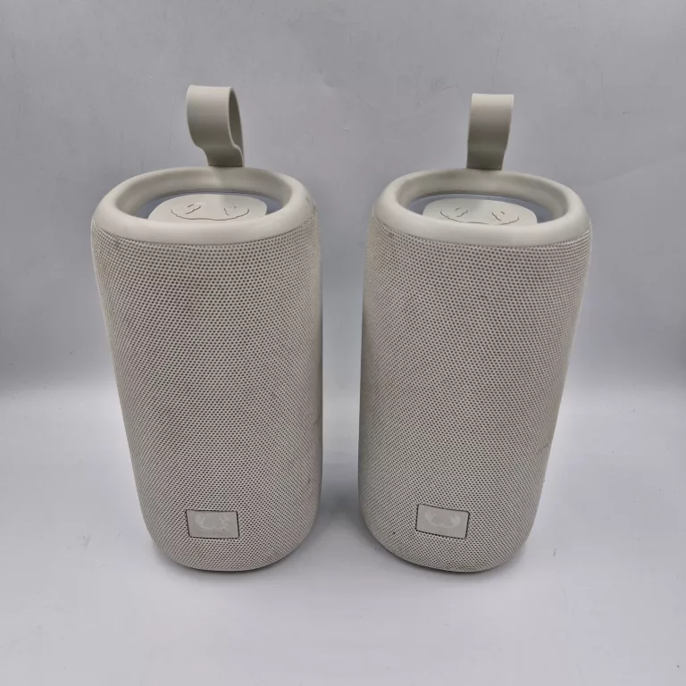 ZESTAW GŁOŚNIKÓW FRESH'N REBEL 1ARB800IG