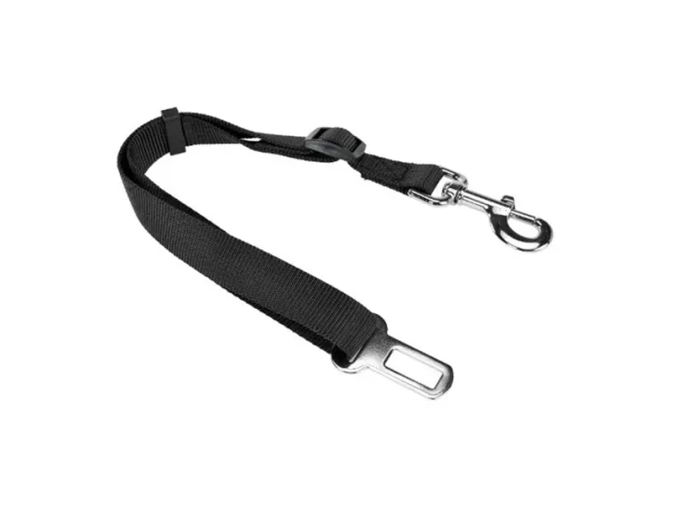 ANIONE PAS BEZPIECZEŃSTWA Z KLAMRĄ