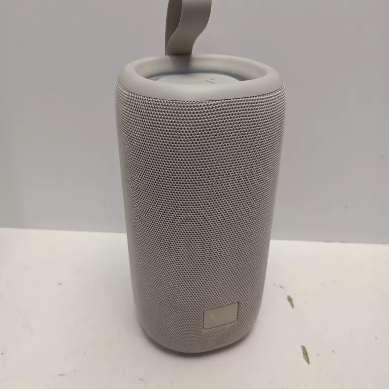 GŁOSNIK BEZPRZEWODOWY FRESH REBEL 1ARB800IG 24W