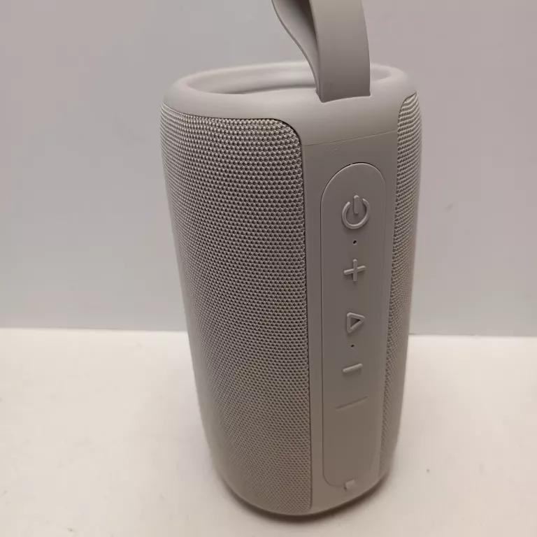 GŁOSNIK BEZPRZEWODOWY FRESH REBEL 1ARB800IG 24W