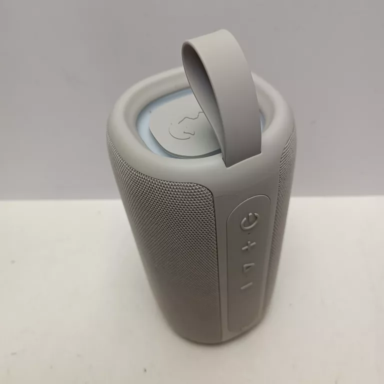 GŁOSNIK BEZPRZEWODOWY FRESH REBEL 1ARB800IG 24W