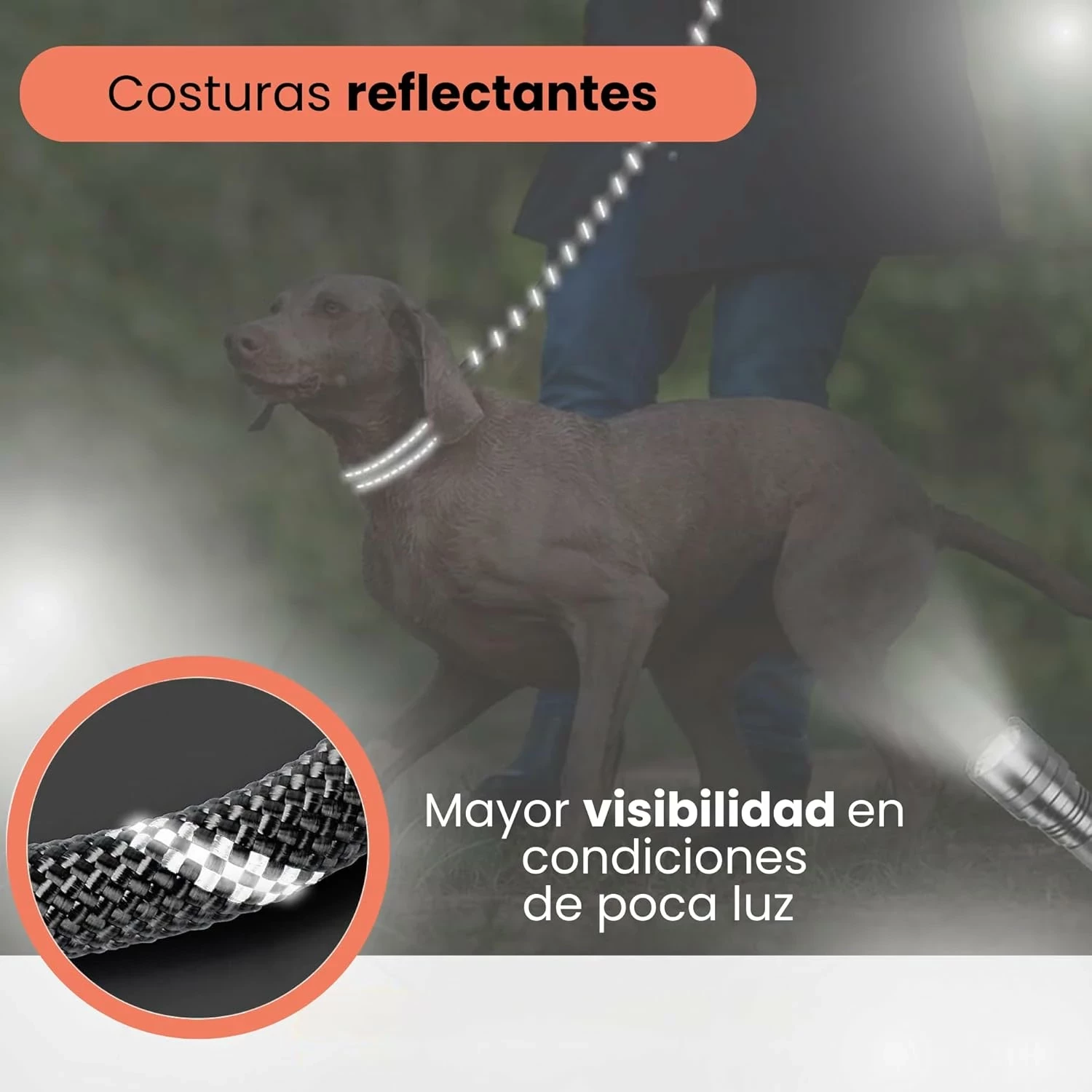 zestaw-dla-psa-odblaskowa-obroza-i-smycz-miska-dyspenser-na-worki-rozmiar-209070-237626